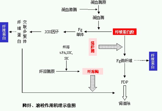 中暑是什么原理_中暑吃什么草药图(3)