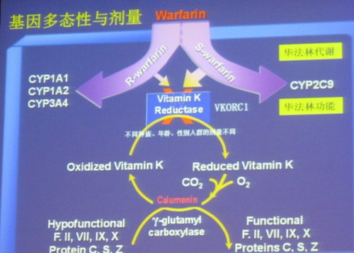 水文特征_人口学特征