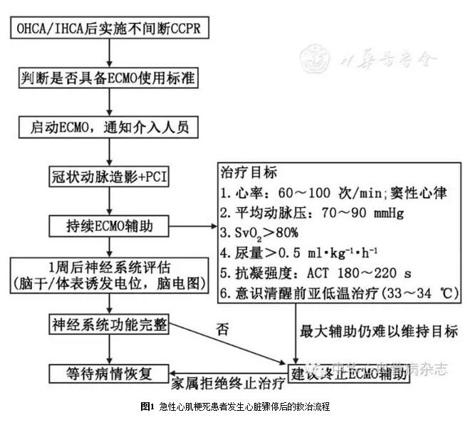 经皮冠状动脉介入治疗术后心脏骤停1例的原因分析